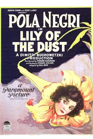 Lily of the Dust poster