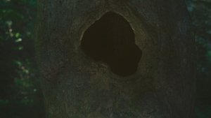 Earthen backdrop