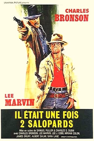 Poster Il était une fois 2 salopards 1978