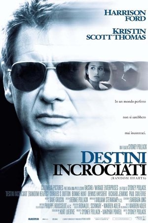 Poster Destini incrociati 1999