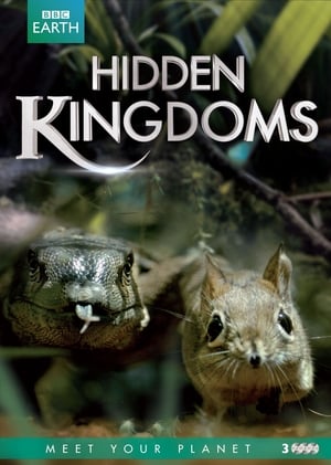 Hidden Kingdoms