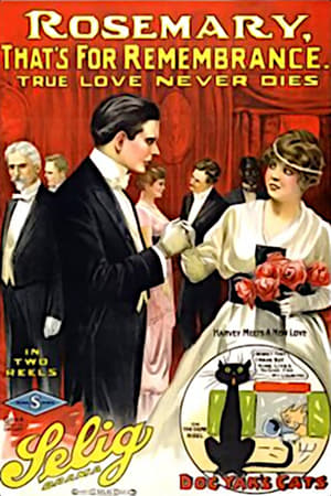 Poster Rosemary, That's for Remembrance (1914)