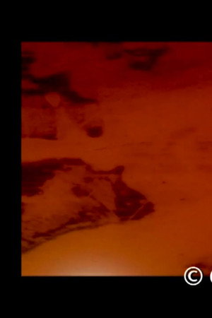 Visitor in the Inside (2011)