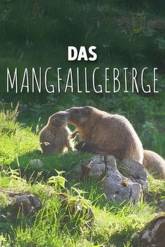 Der Bläuling und die neue Wildnis