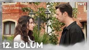 Bir Sevdadır: 1×12