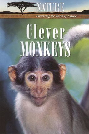 Clever Monkeys 2