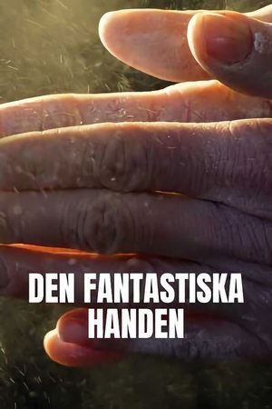 Unsere Hand – Geniestreich Der Evolution