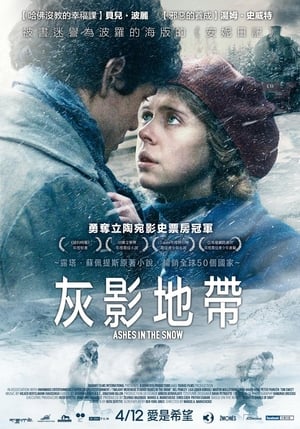 Poster 雪中灰烬 2018