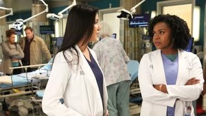 Grey’s Anatomy 13 x Episodio 13