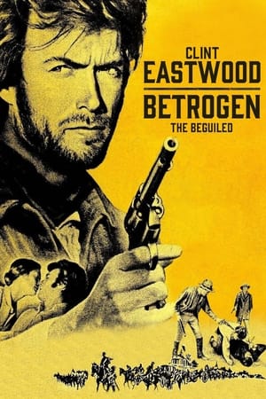 The Beguiled 30