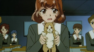 The Weeping Garden of Reeds