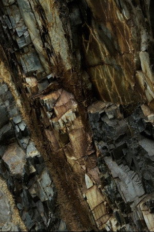 Eustatic Drift (2018)