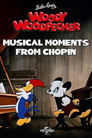  Musical Moments from Chopin affiche 