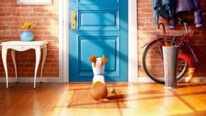 poster The Secret Life of Pets