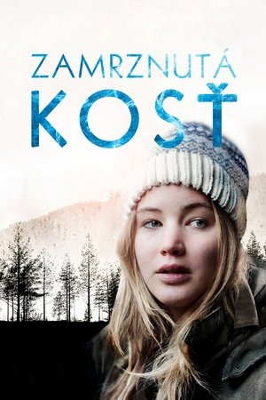 Poster Zmrznutá kosť 2010