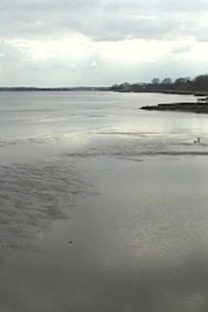 Chesapeake Views from Late February and Early April