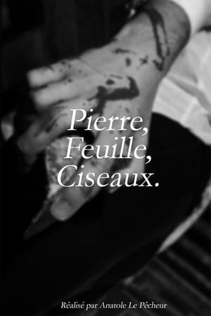 Poster Pierre, Feuille, Ciseaux. (2024)