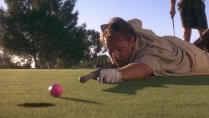 Tin Cup – Fejjel a falnak