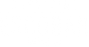 Surviving Escobar - Alias JJ