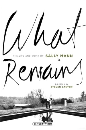 What Remains film complet