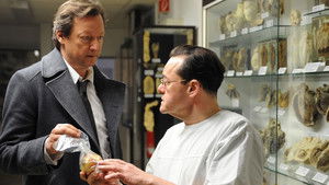 Polizeiruf 110: 42×6