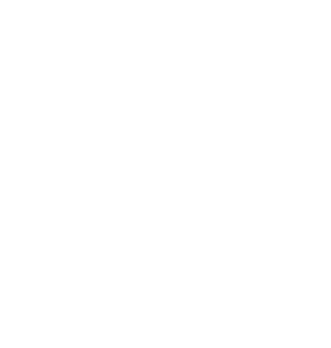 King of the Wild Horses