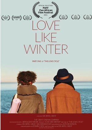 Poster Love Like Winter (2020)