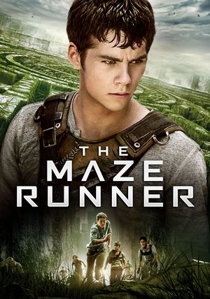 poster The Maze Runner