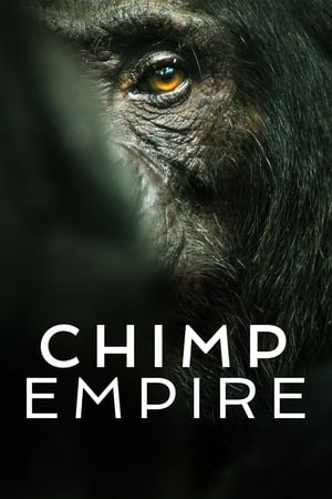 Image Империя шимпанзе
