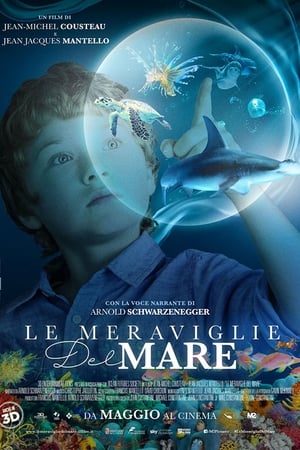 Le meraviglie del mare 2017