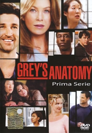 Grey's Anatomy: Stagione 1