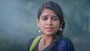 8 Vasantalu (2025) Telugu PreDVD