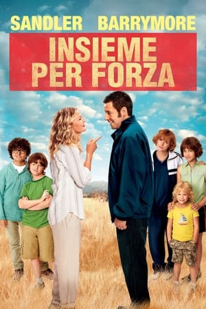 Poster di Insieme per forza