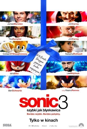 poster Sonic the Hedgehog 3