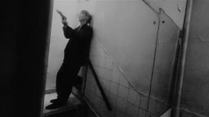 Fallen Angels ( 1995 )