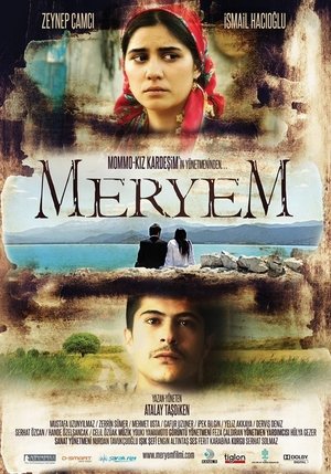 Meryem poster