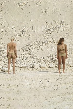 Poster Stay (2014)