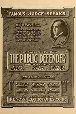 Poster The Public Defender 1917