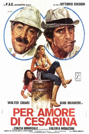 Poster Per amore di Cesarina (1976)