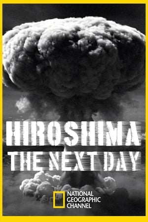 Poster Hiroshima, the next day (2011)