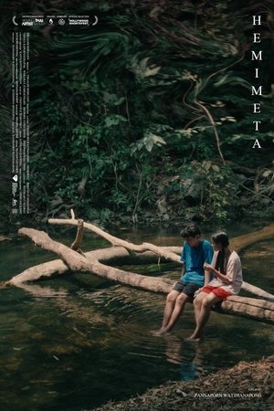Hemimeta (2022)