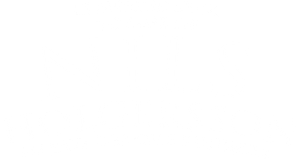 Nils Holgerssons wunderbare Reise — Logos 2