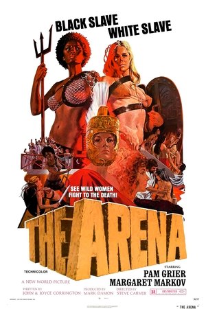 Image The Arena