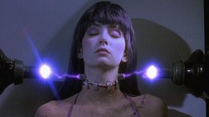 Frankenhooker: Que Pedaço de Mulher