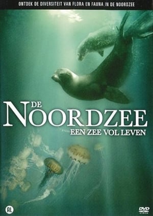 De Noordzee: Een Zee Vol Leven