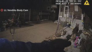 K-9 Down