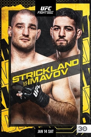 Image UFC Fight Night 217: Strickland vs. Imavov