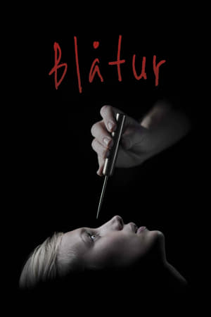 Poster Blåtur 2013
