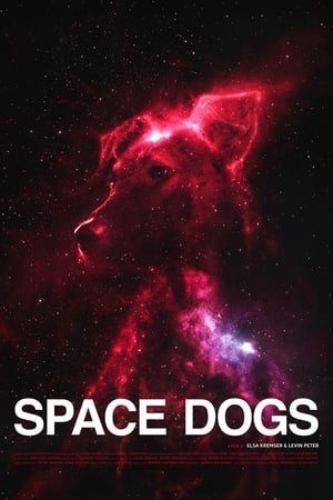 Image Космические собаки
