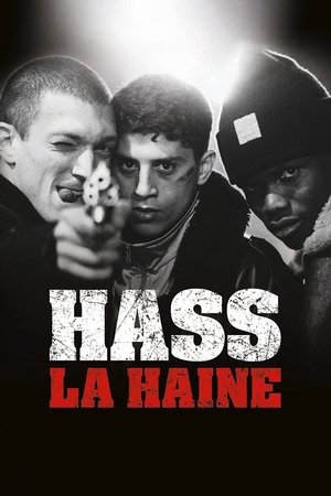 Poster Hass 1995